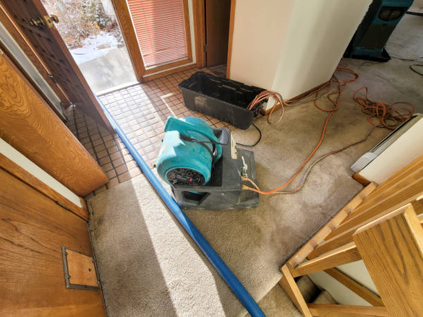 Best Local water damage restoration  in Centre Hall, PA