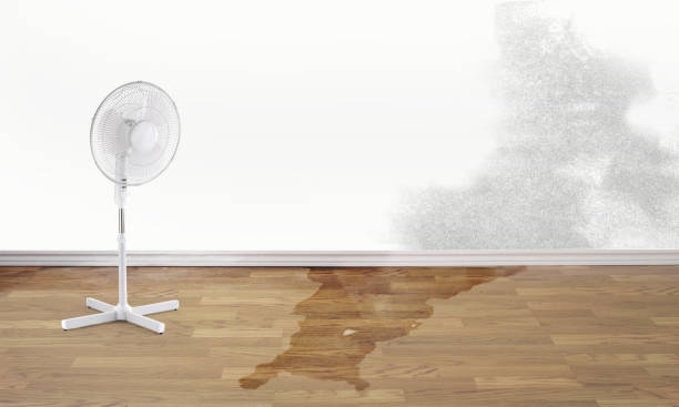 Best 24-hour water damage restoration  in Centre Hall, PA