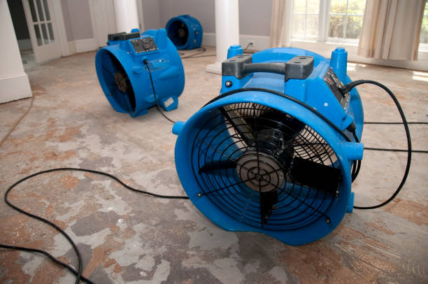 Best Residential water damage restoration  in Centre Hall, PA