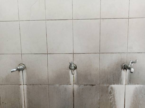 Best Water damage cleanup near me  in Centre Hall, PA