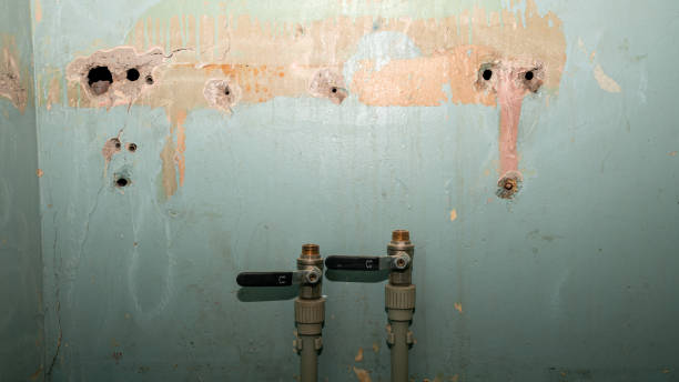 Best Flooded house restoration  in Centre Hall, PA
