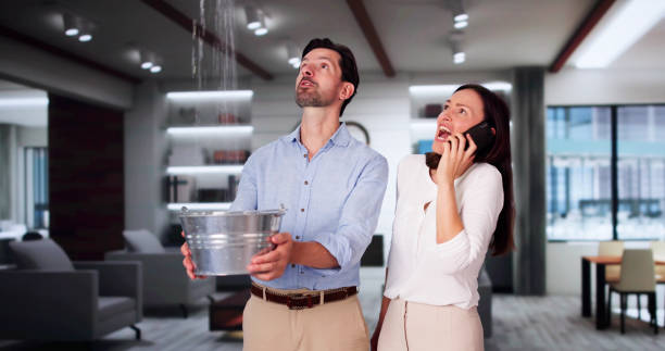 Best Flood damage cleanup  in Centre Hall, PA